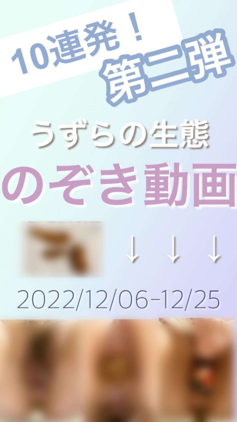 出品者名-写真