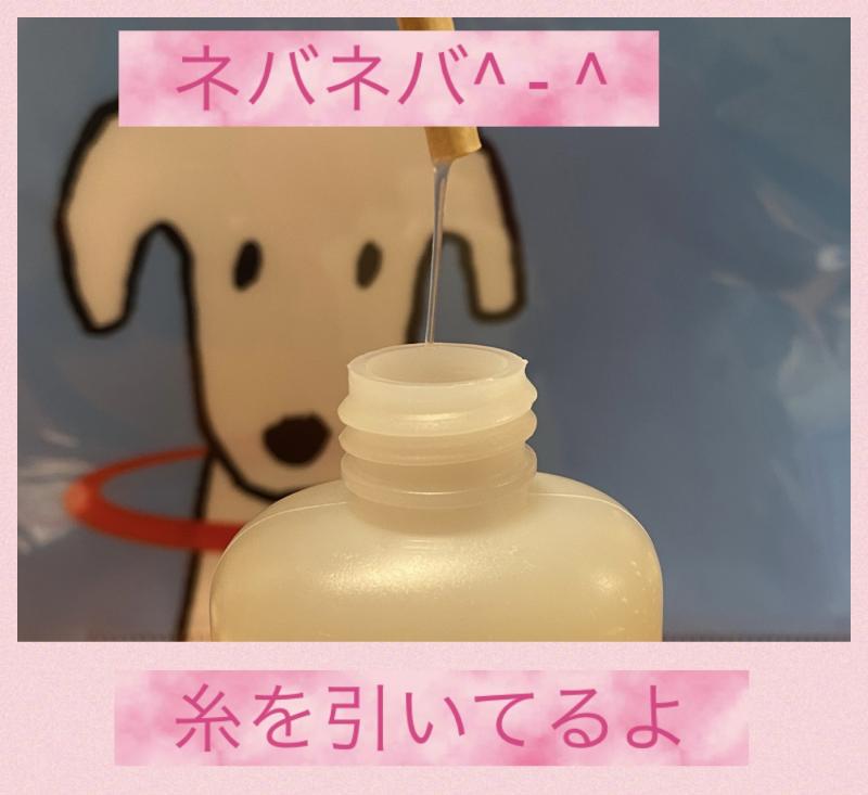出品者名-写真-1