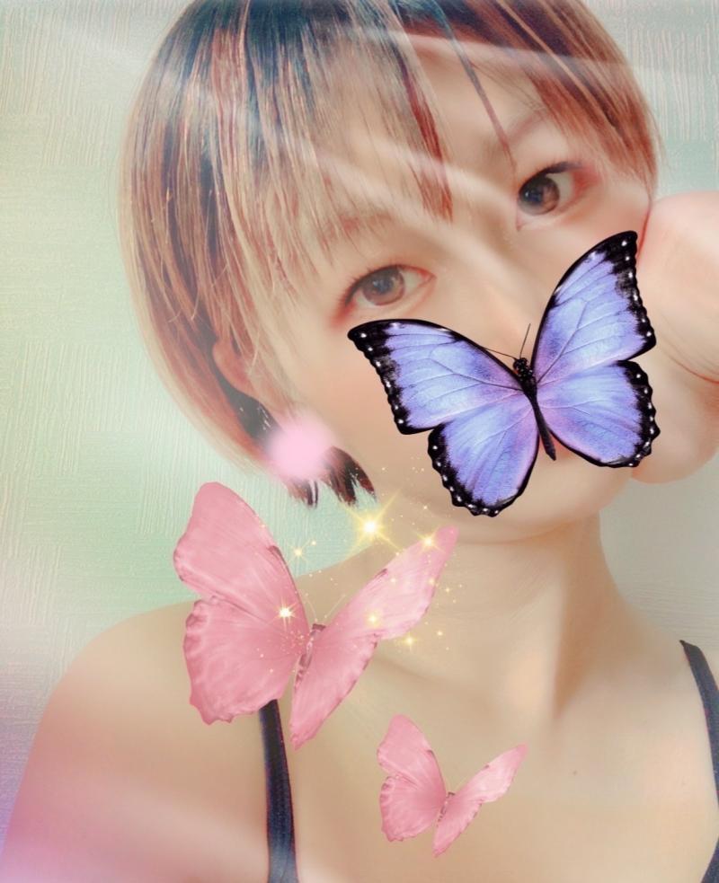出品者名-写真-1