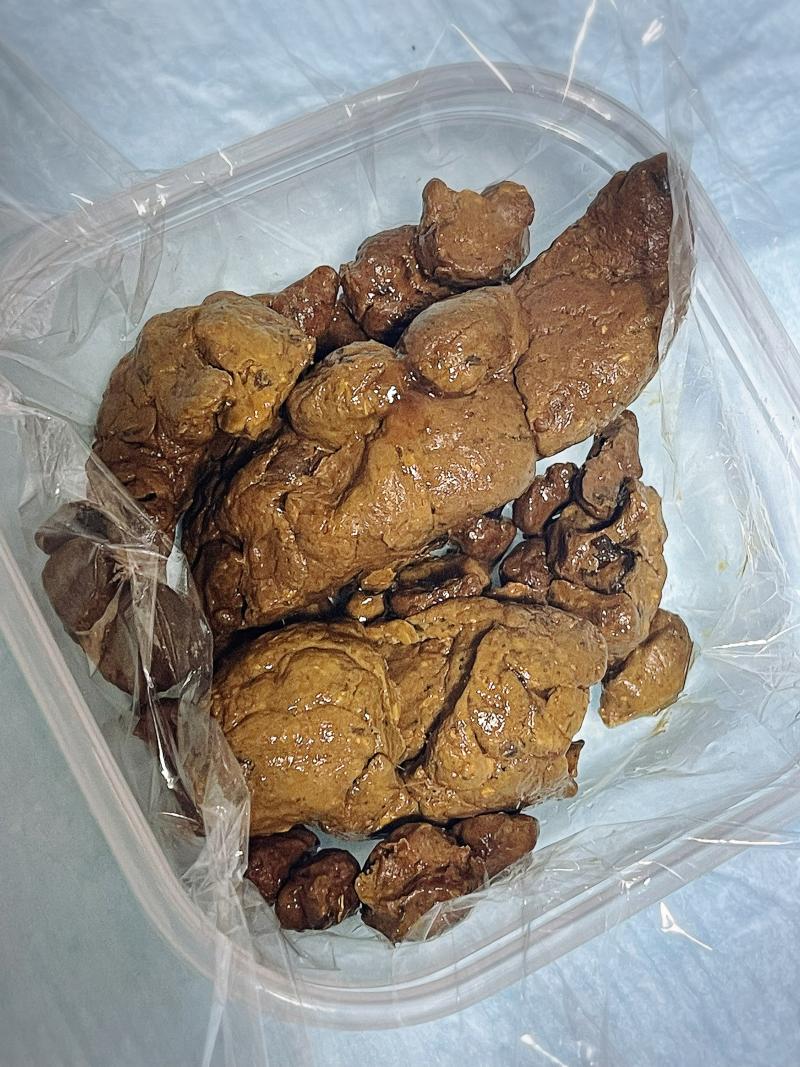 出品者名-写真