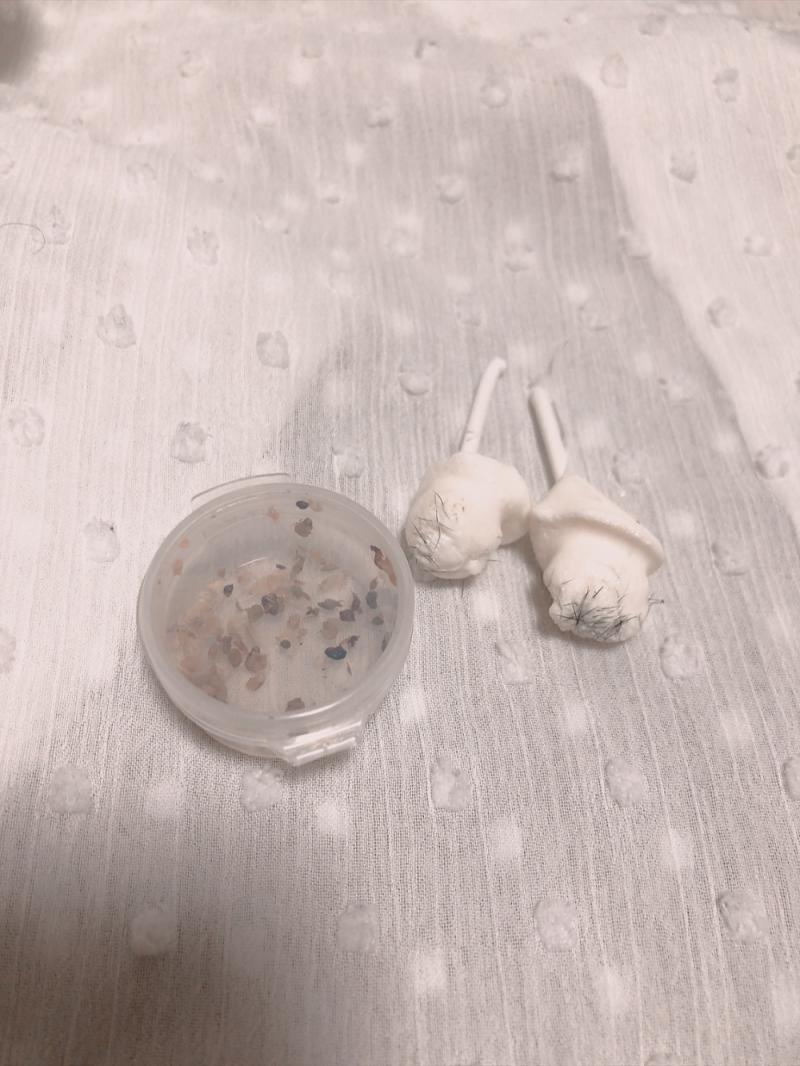 出品者名-写真