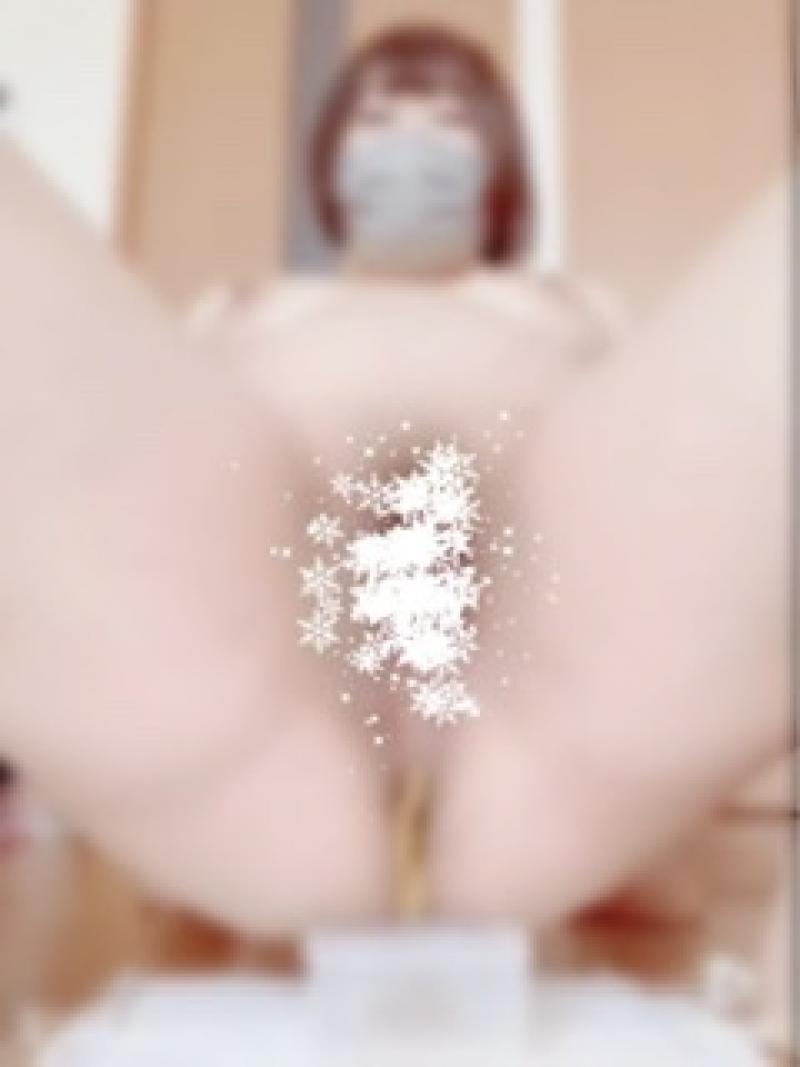 出品者名-写真