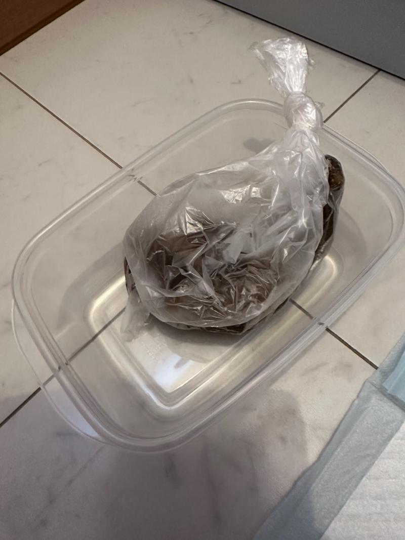 出品者名-写真-1