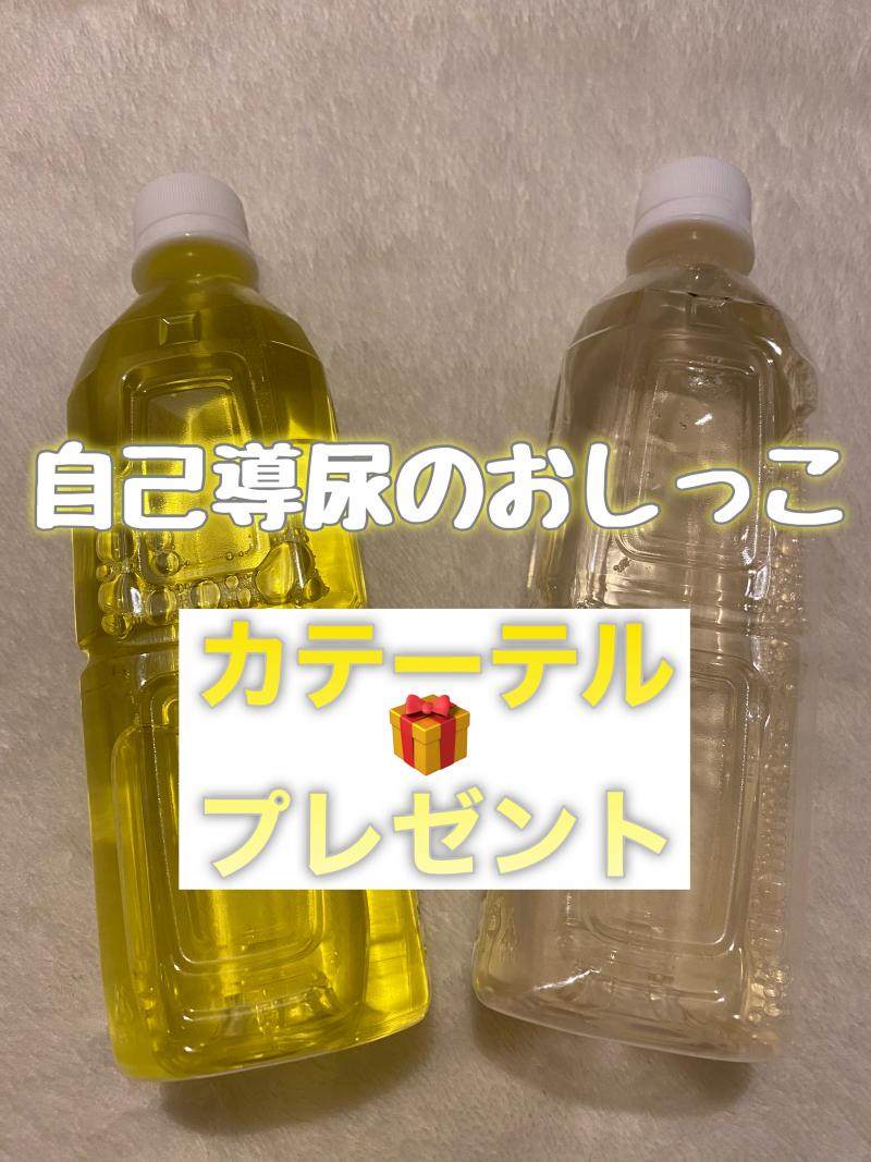 出品者名-写真