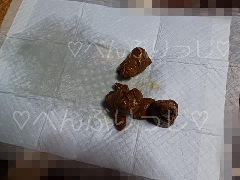 出品者名-写真-1