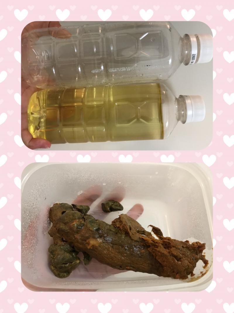 出品者名-写真