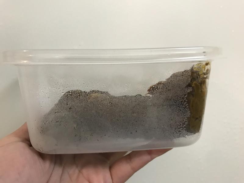 出品者名-写真-1
