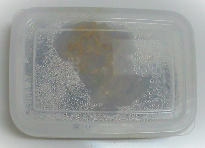 出品者名-写真-1