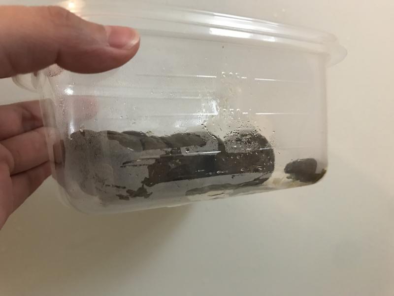 出品者名-写真-1