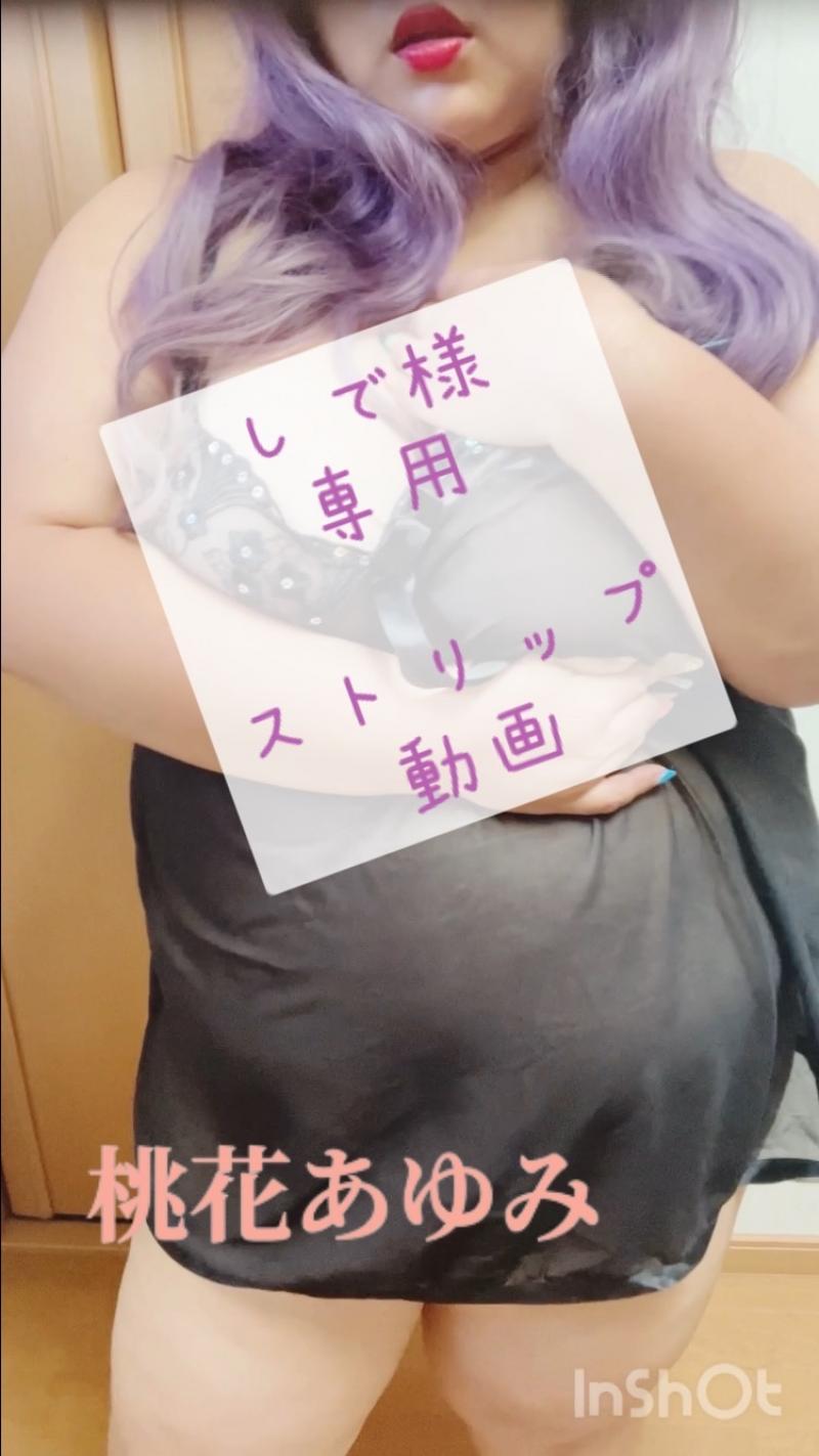 出品者名-写真