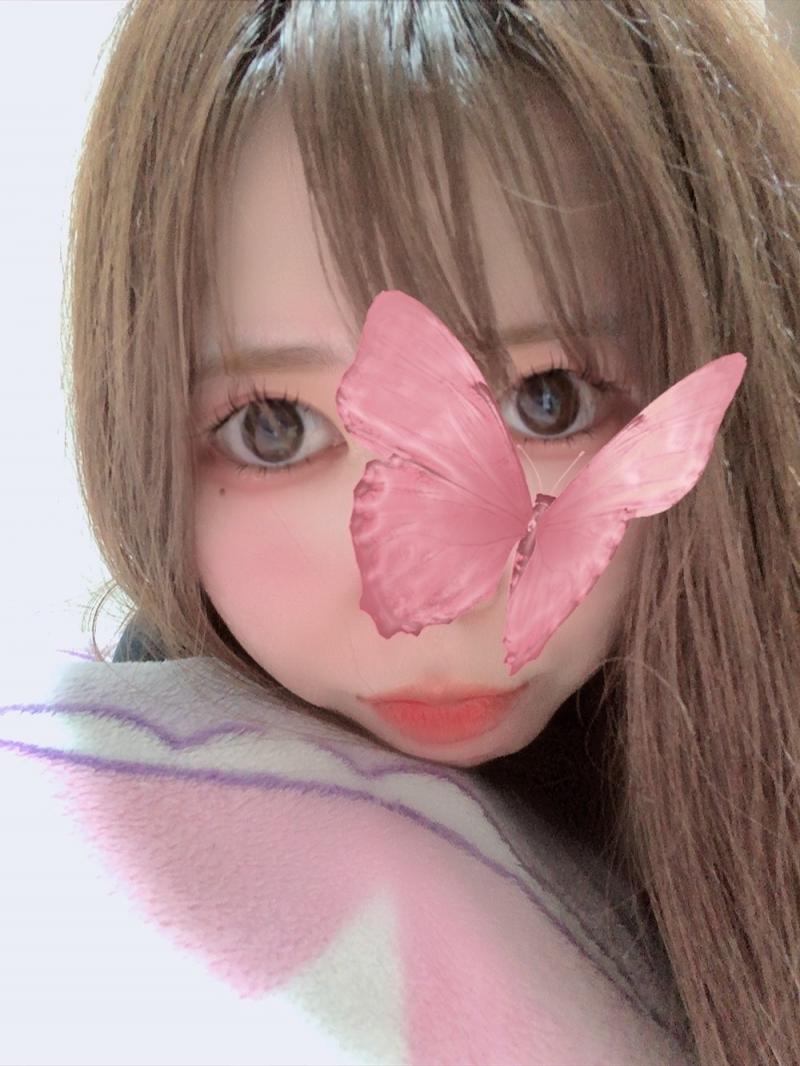 出品者名-写真-1