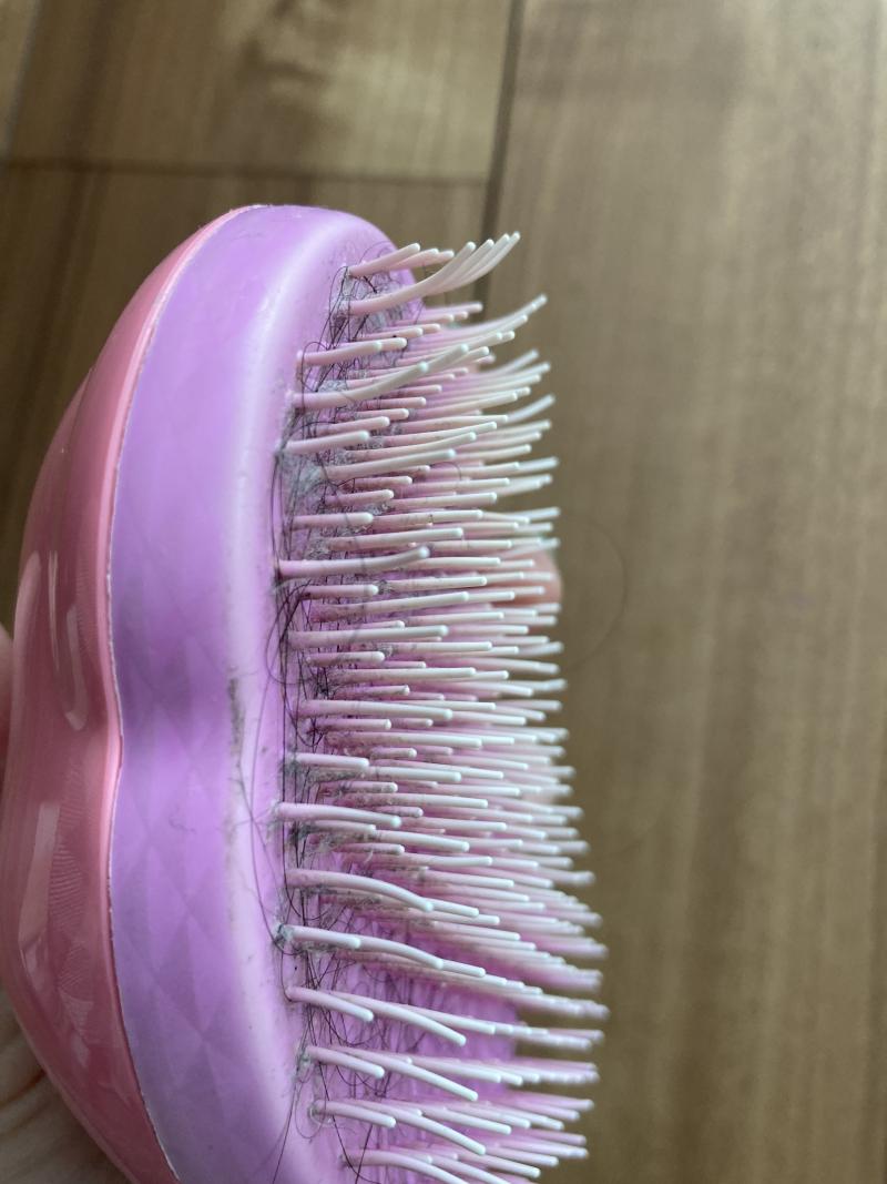 出品者名-写真-1