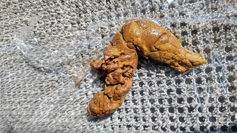 出品者名-写真-1