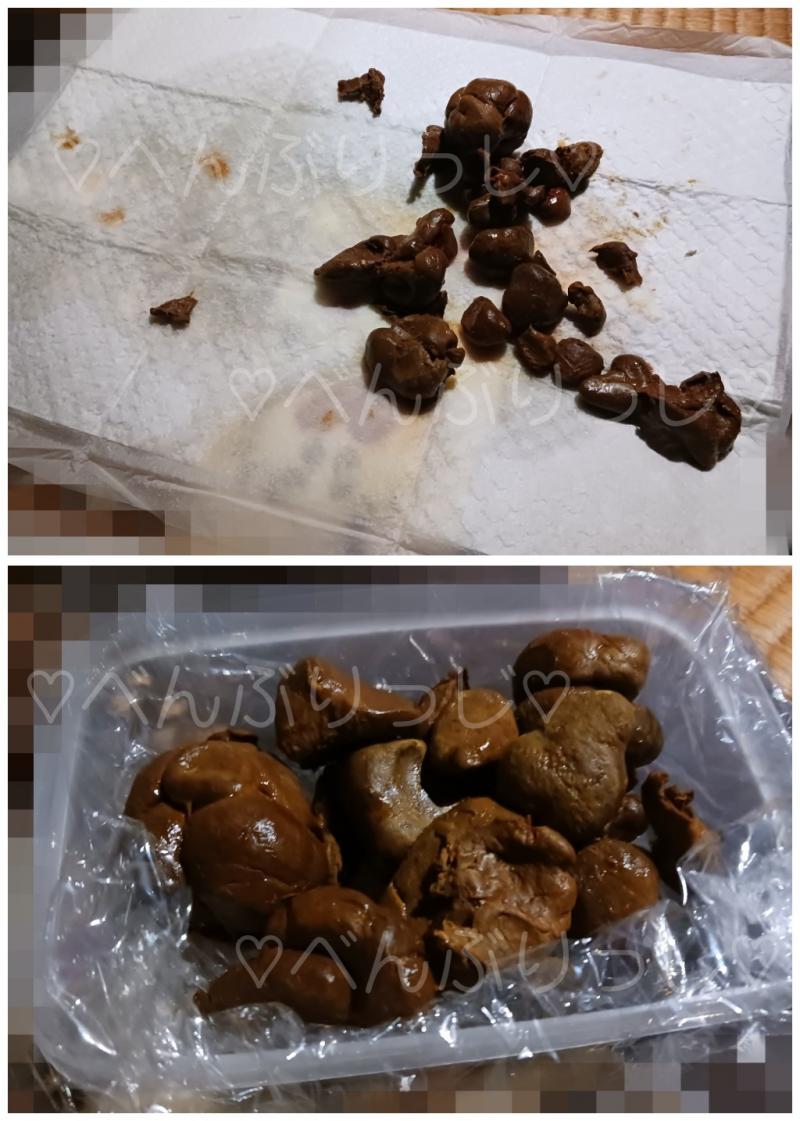 出品者名-写真-1
