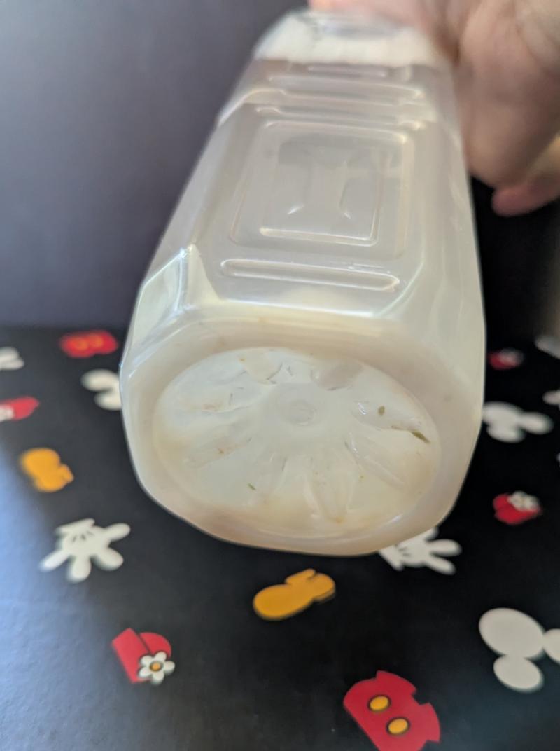 出品者名-写真-1