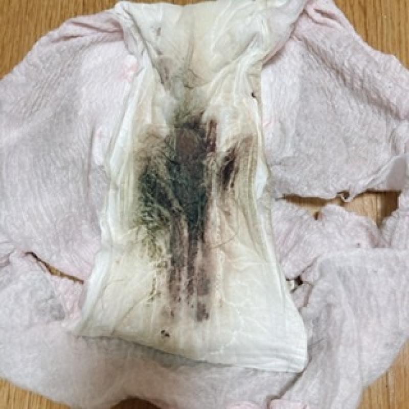 出品者名-写真-1