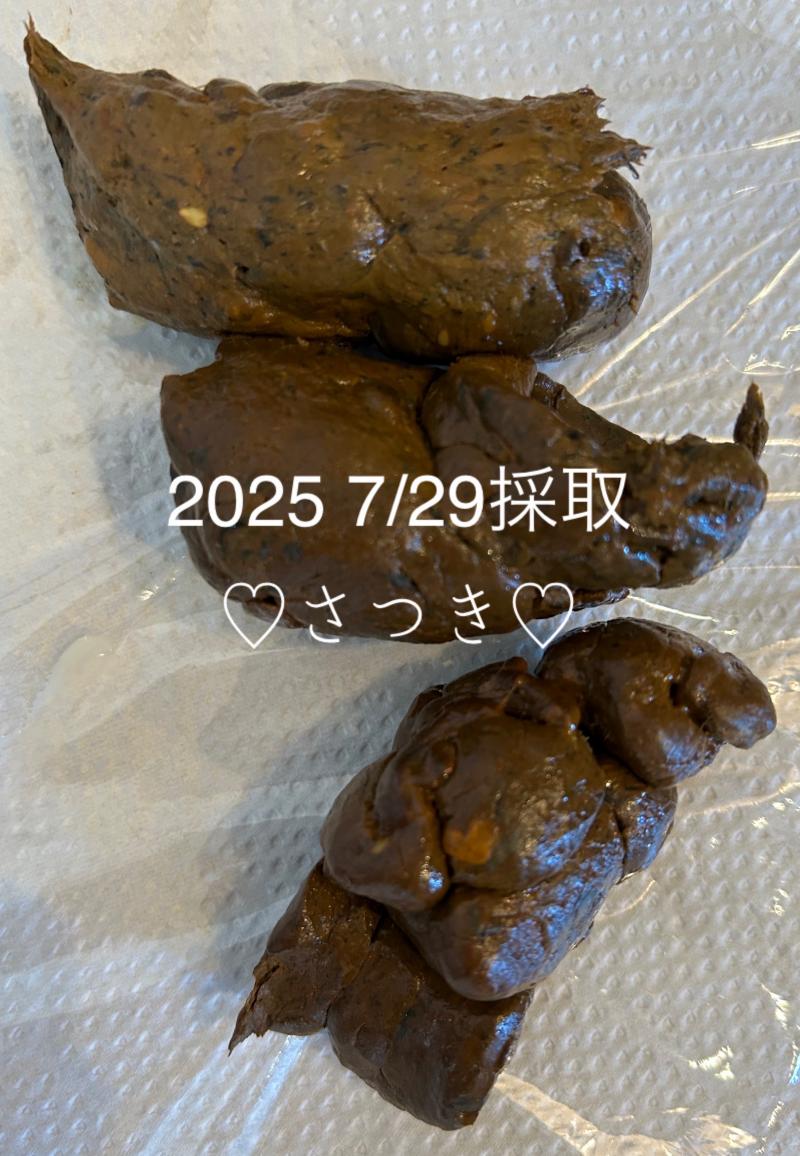 出品者名-写真-1