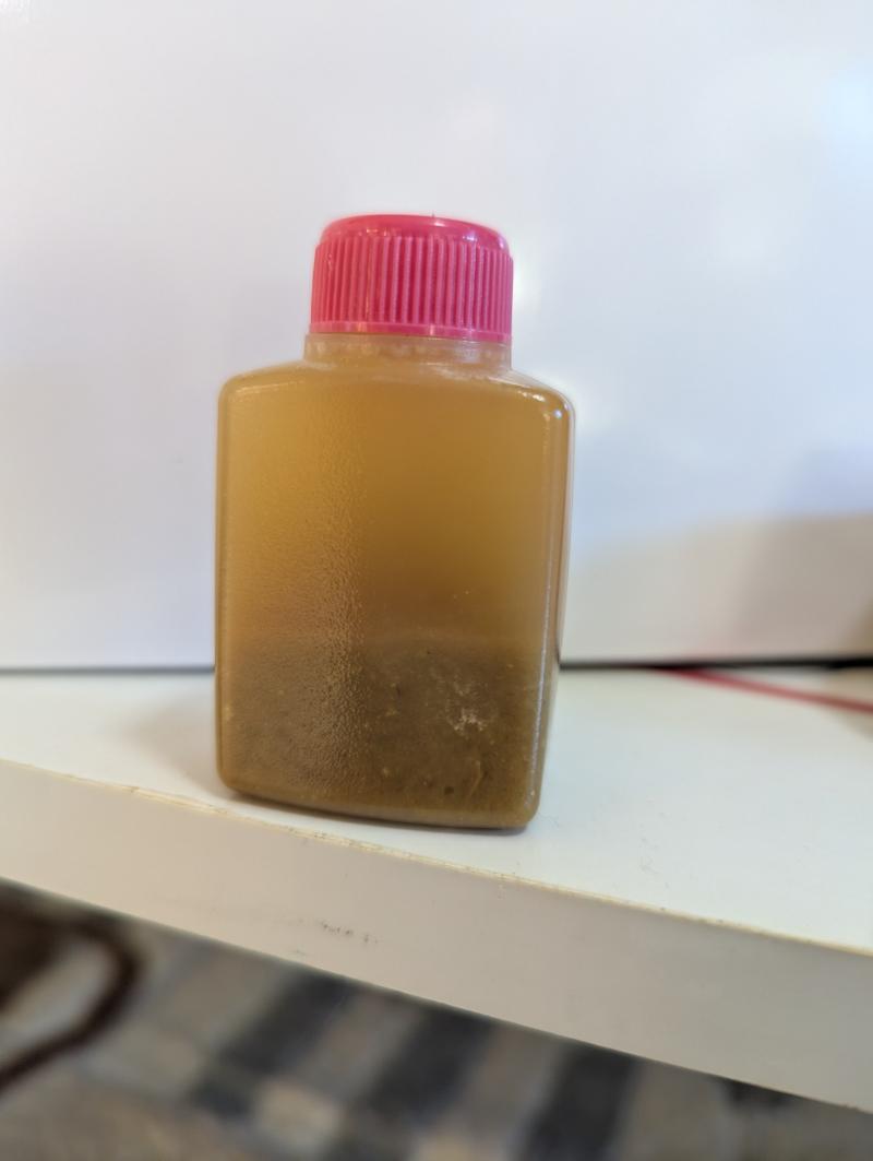 出品者名-写真-1