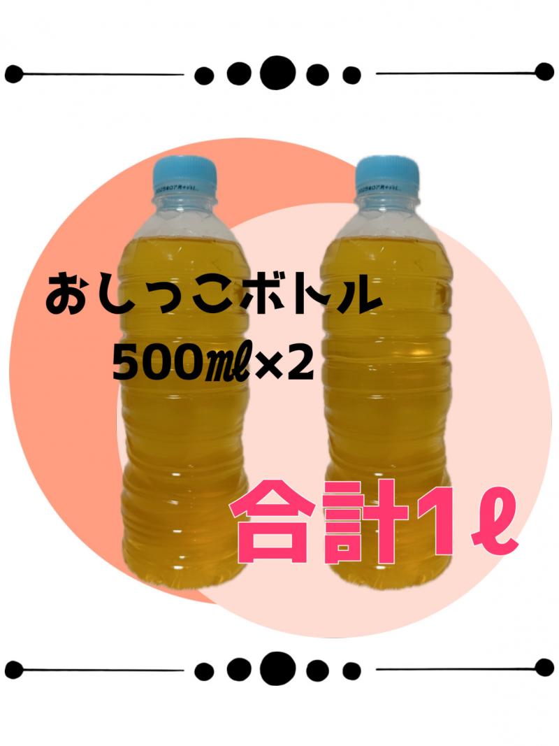 出品者名-写真