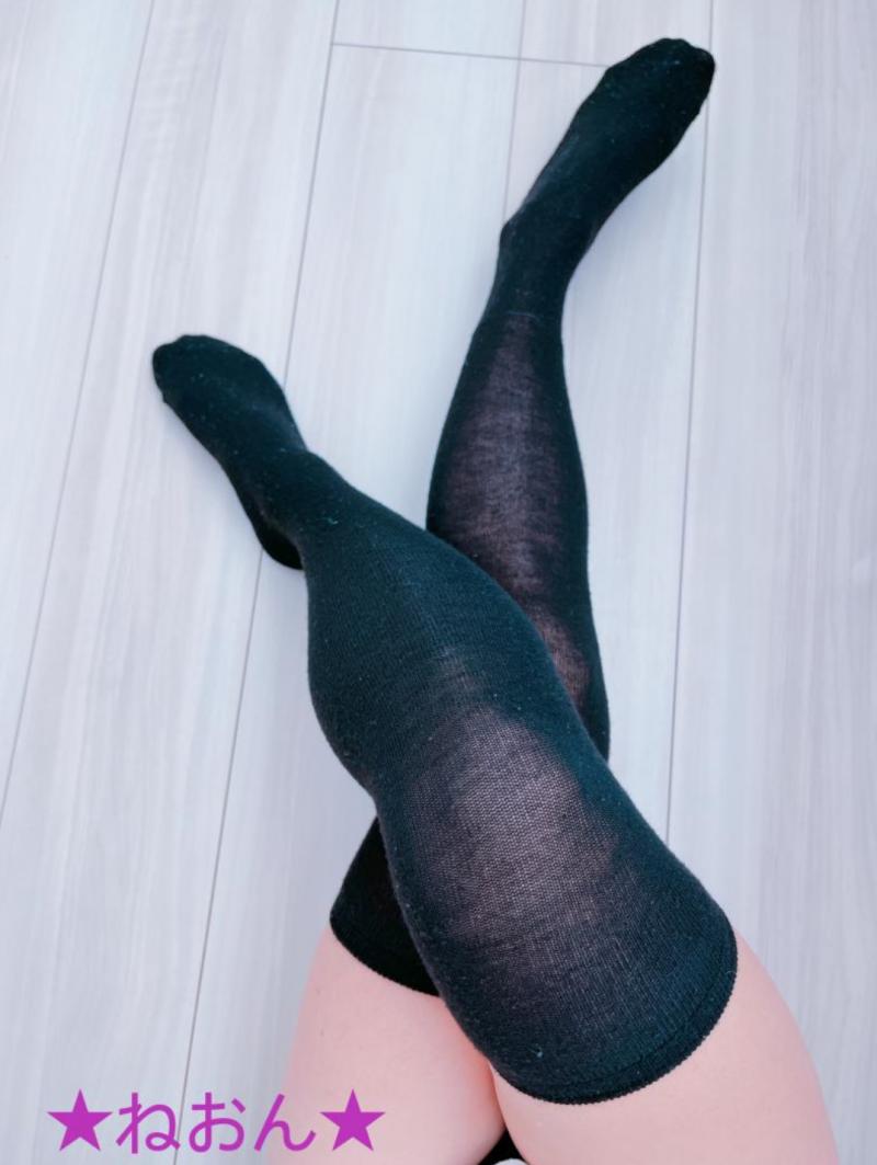 出品者名-写真-1