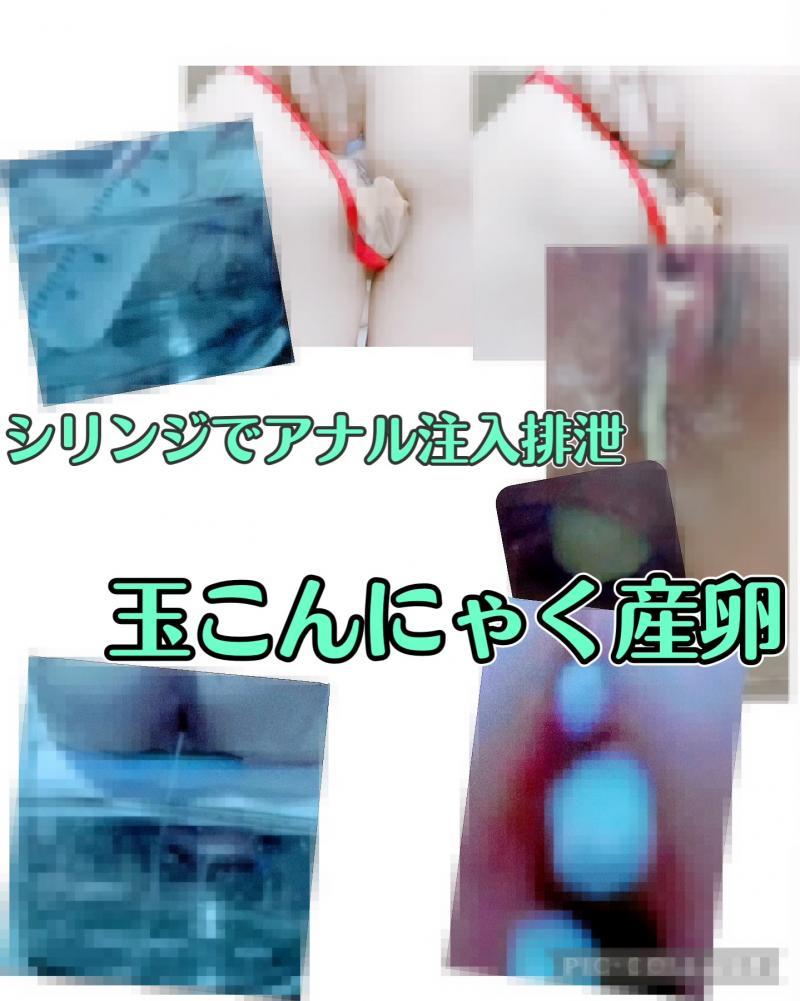出品者名-写真-1