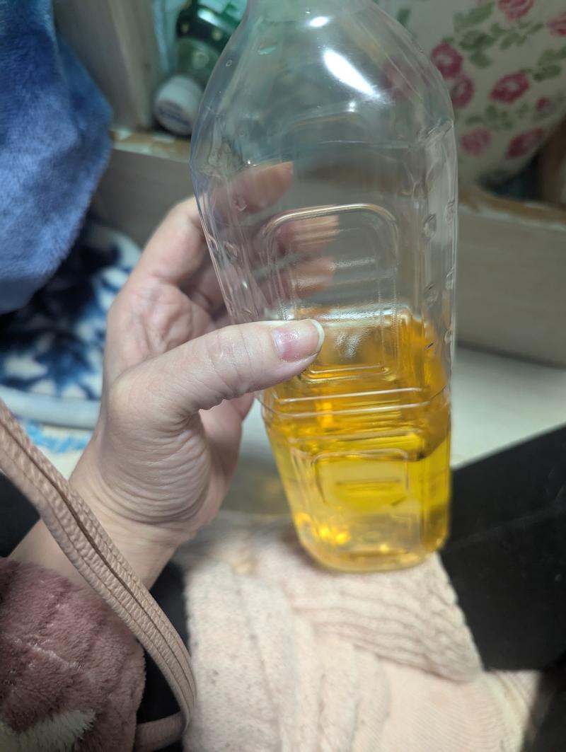 出品者名-写真