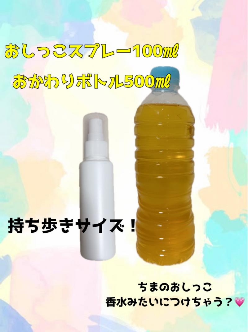 出品者名-写真