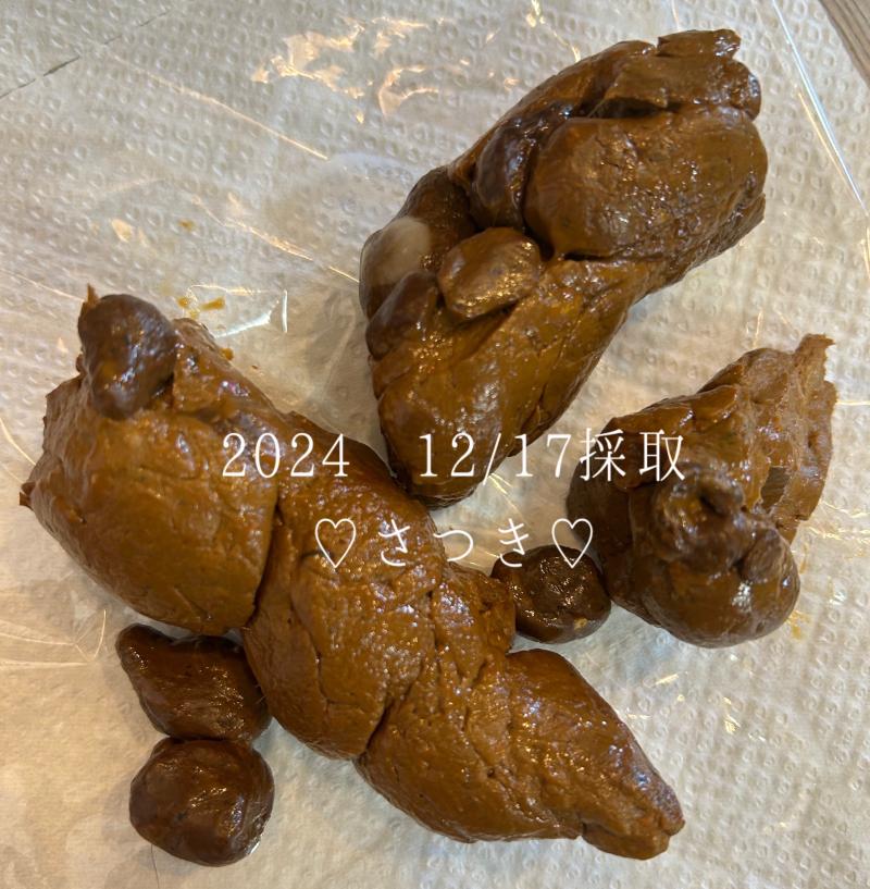 出品者名-写真-1
