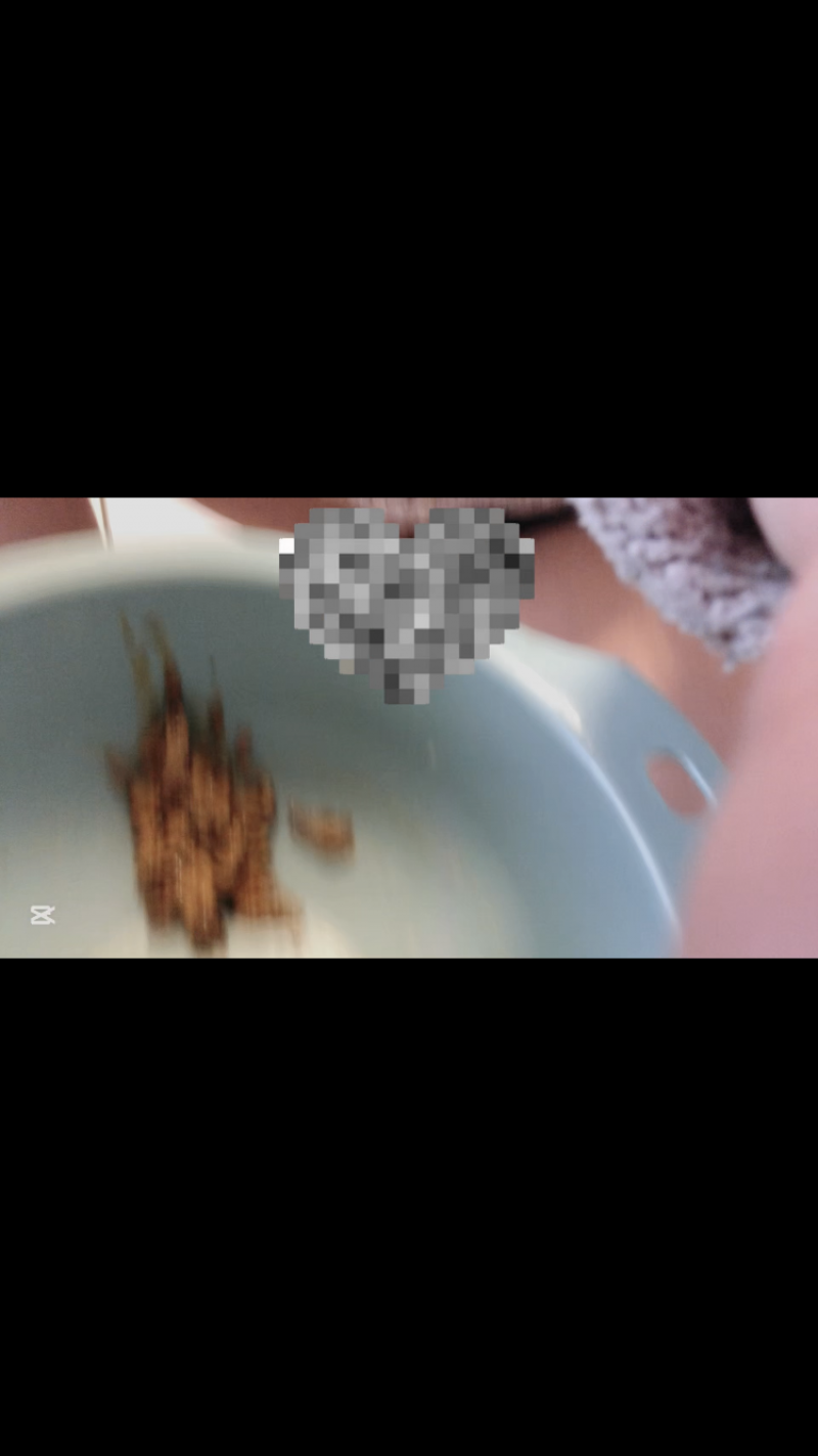 出品者名-写真-1