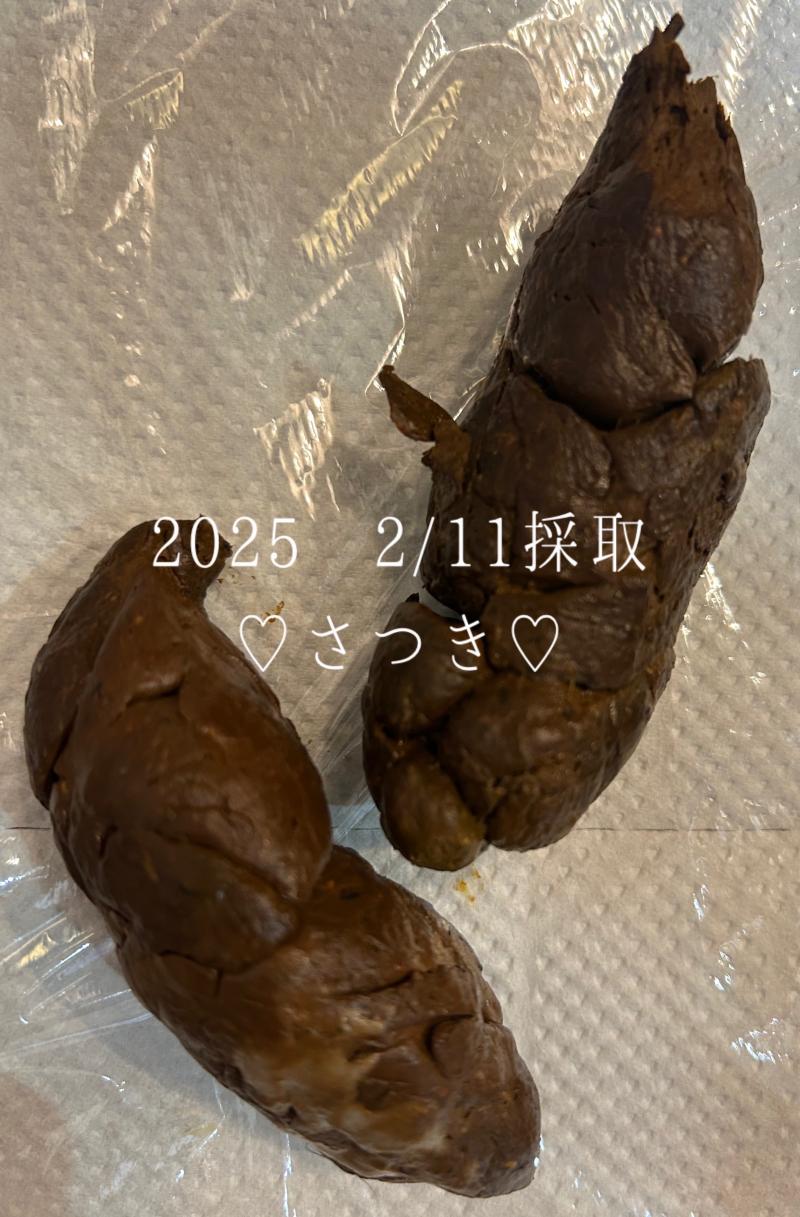出品者名-写真-1