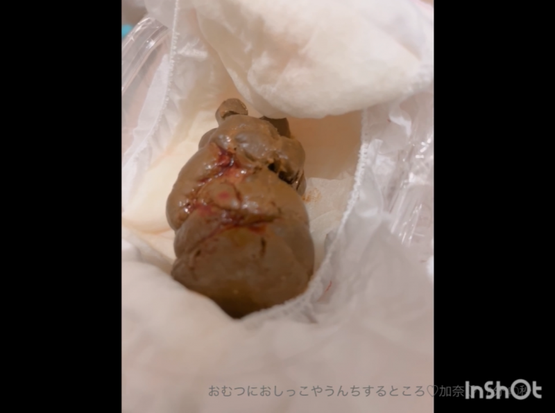 出品者名-写真-1