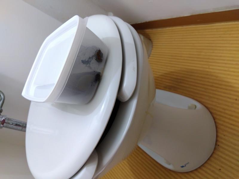 出品者名-写真-1