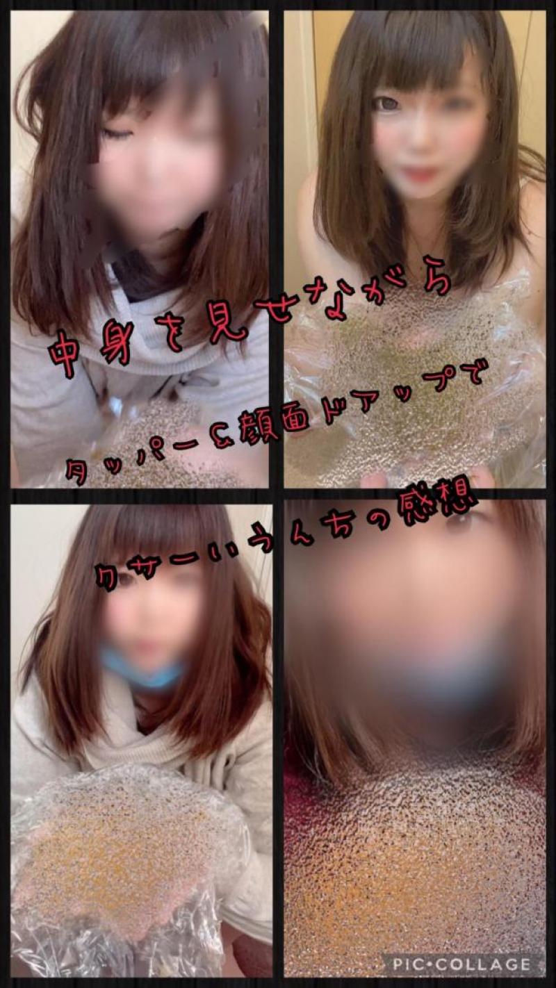 出品者名-写真