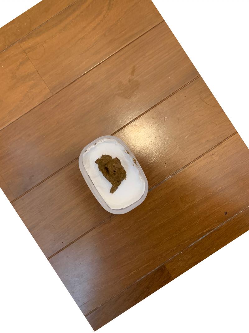 出品者名-写真