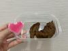 出品者名-写真-1