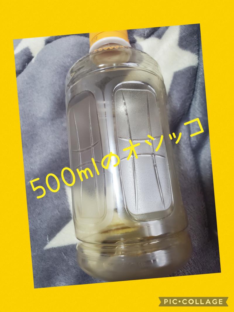 出品者名-写真