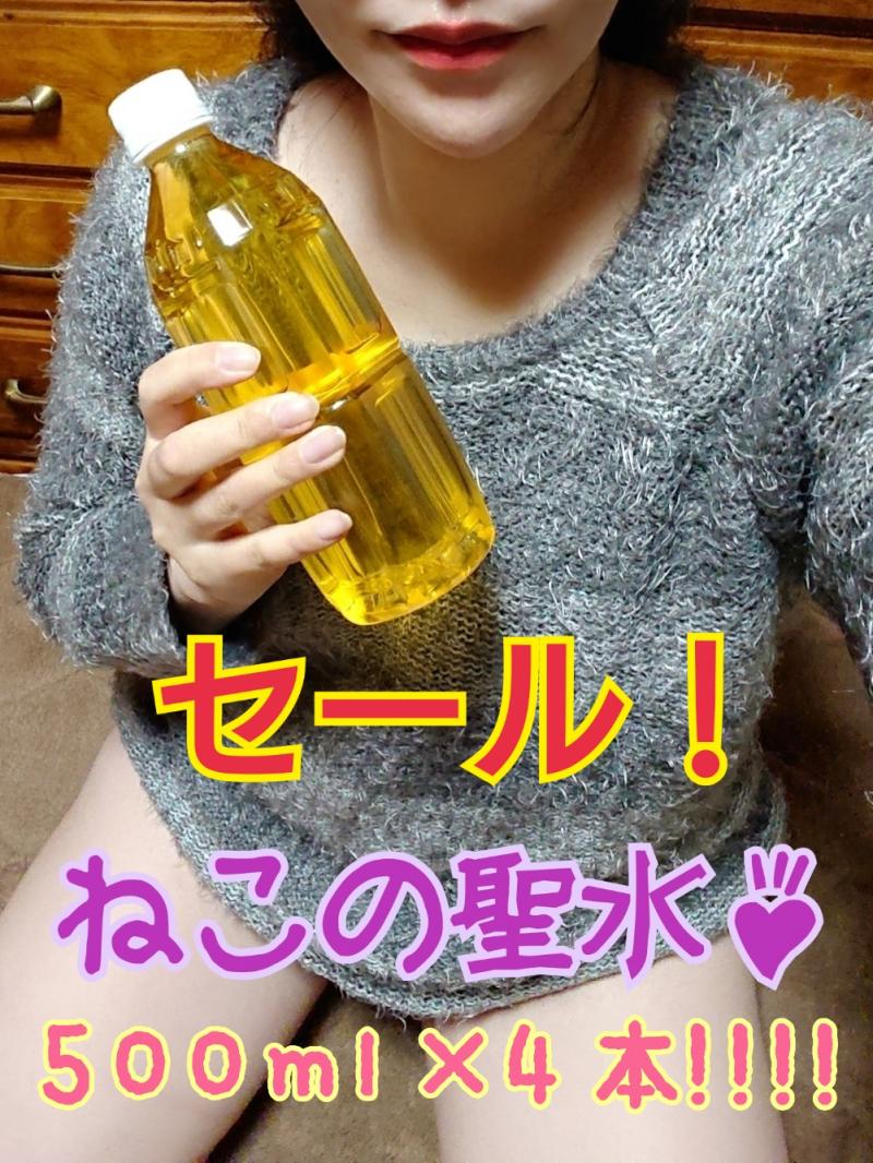 出品者名-写真