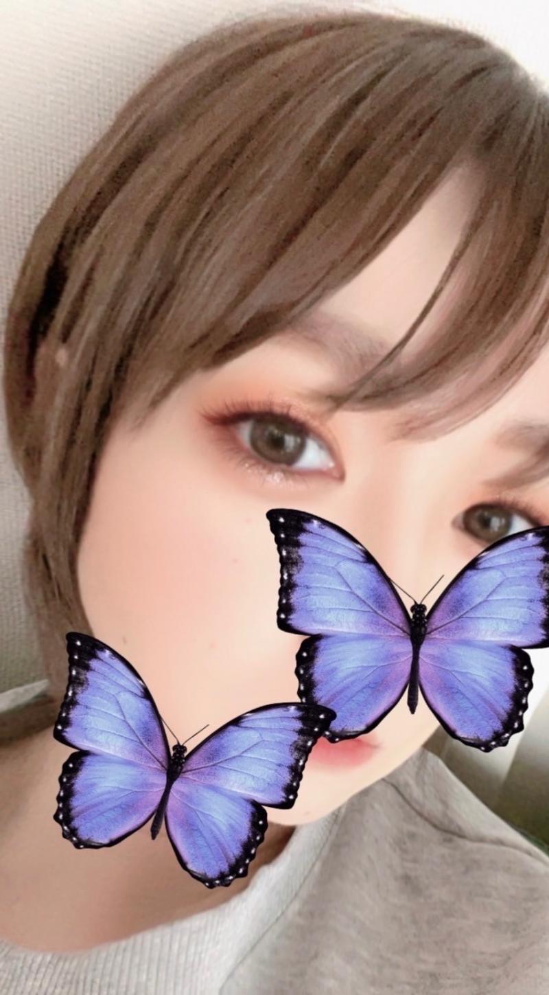 出品者名-写真-1