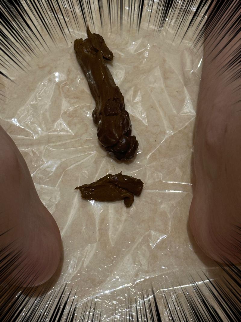 出品者名-写真