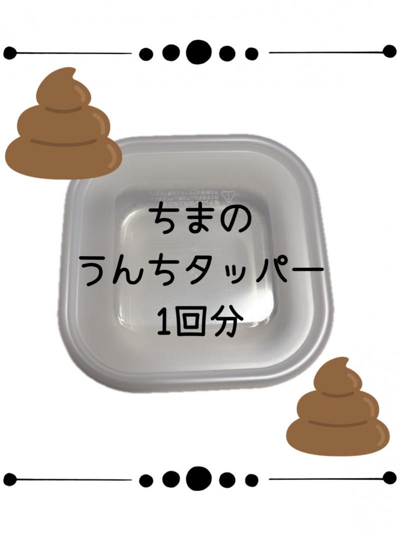 出品者名-写真