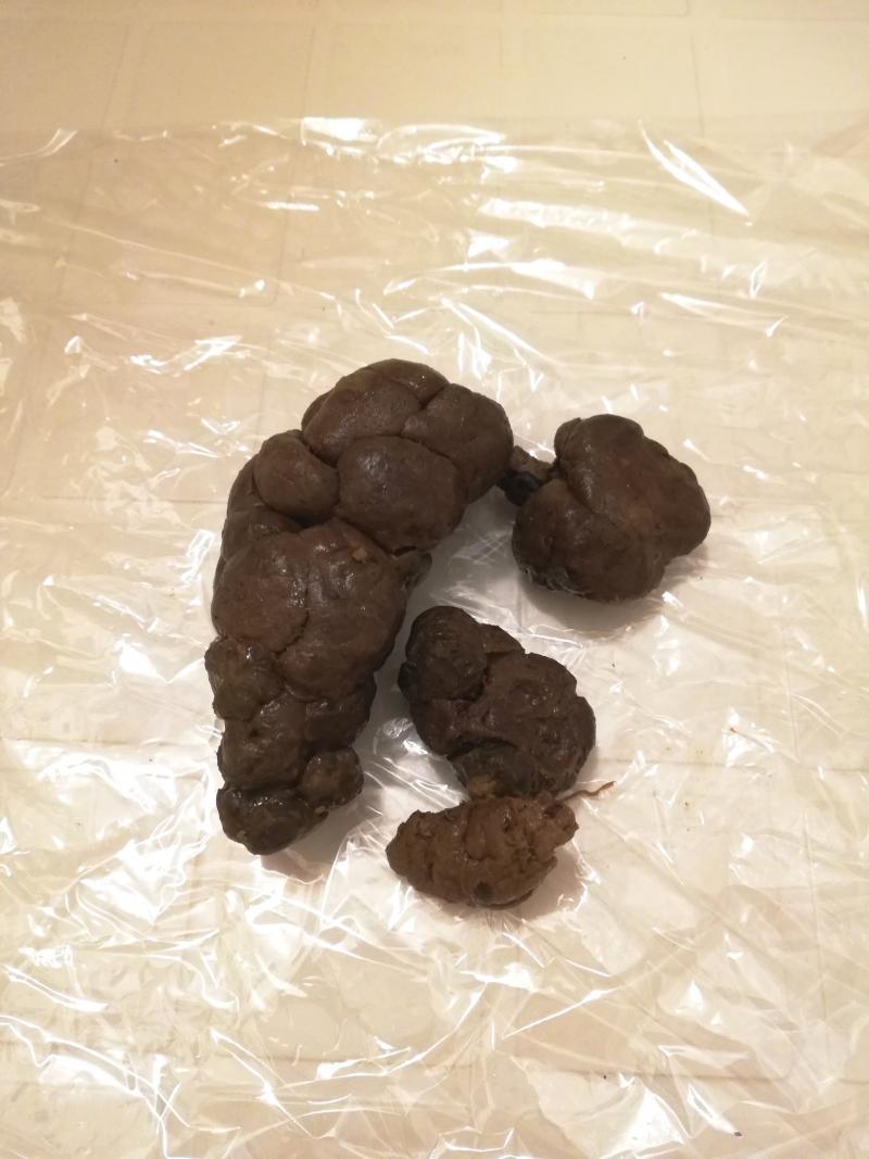 出品者名-写真