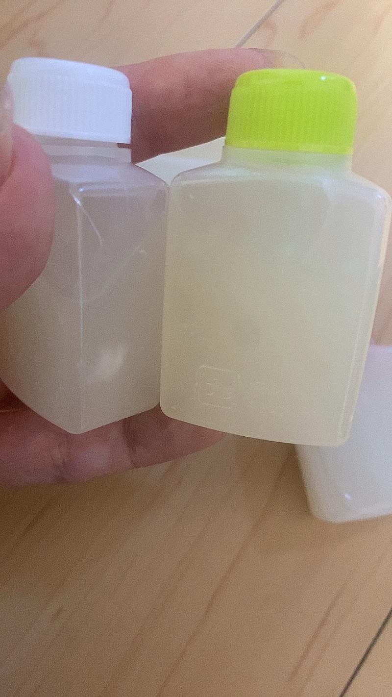 出品者名-写真-1
