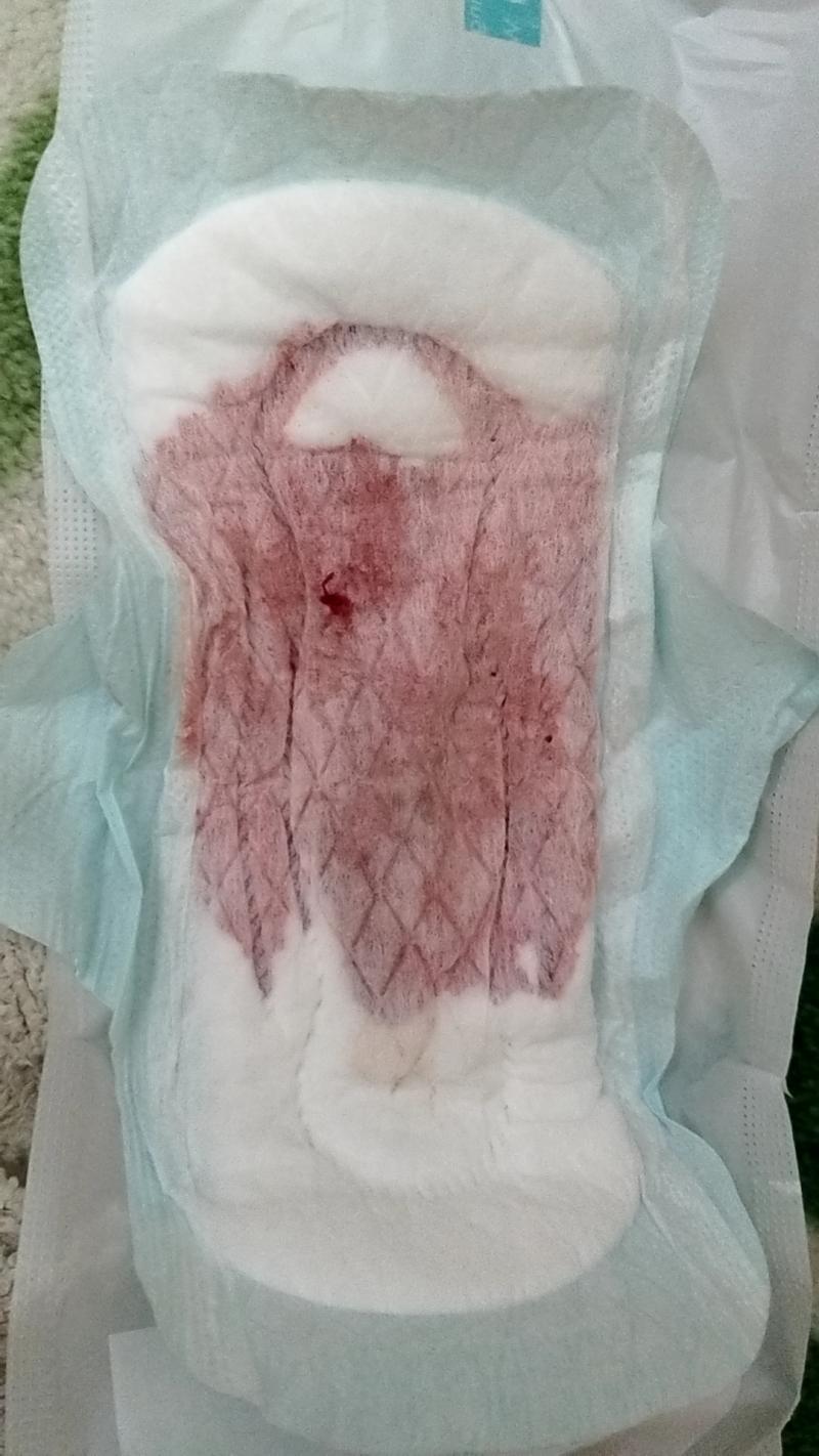 出品者名-写真-1