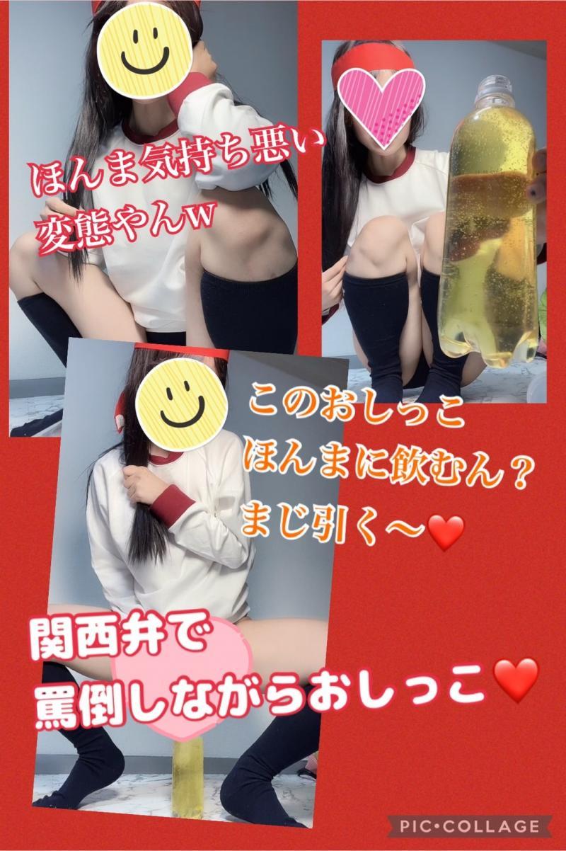 出品者名-写真