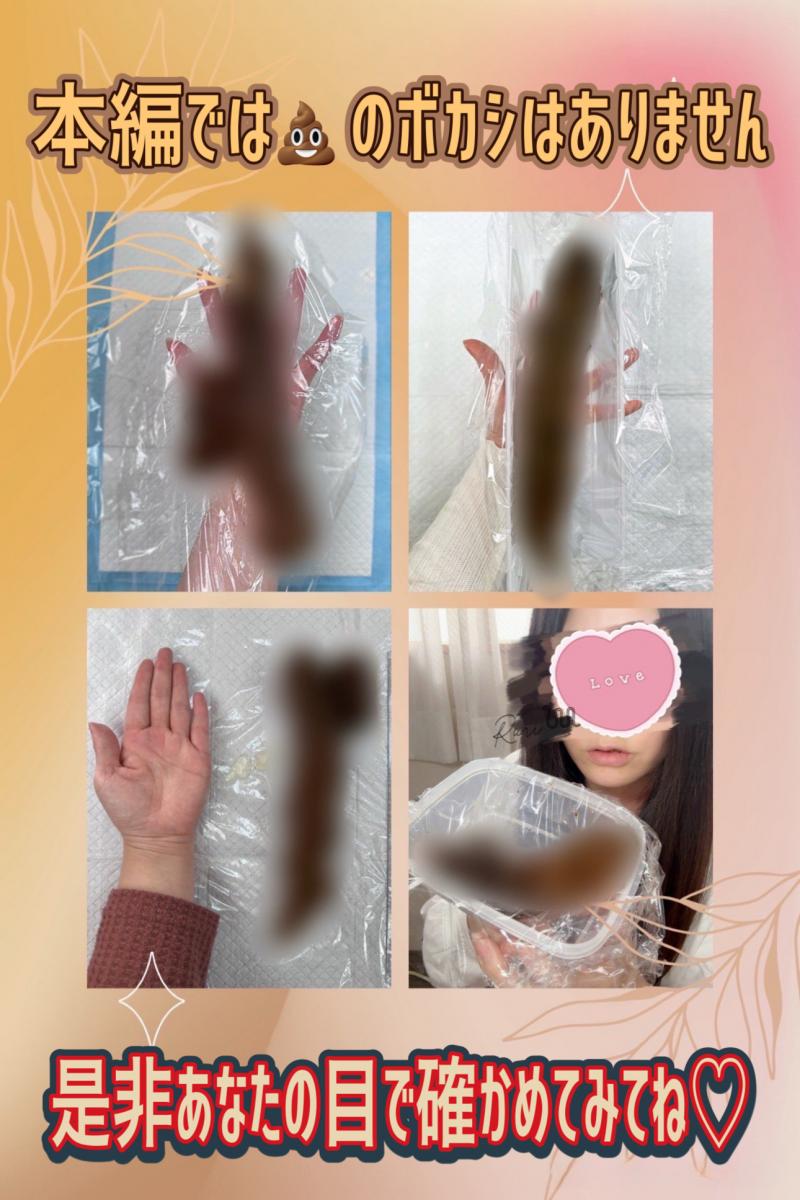 出品者名-写真-1