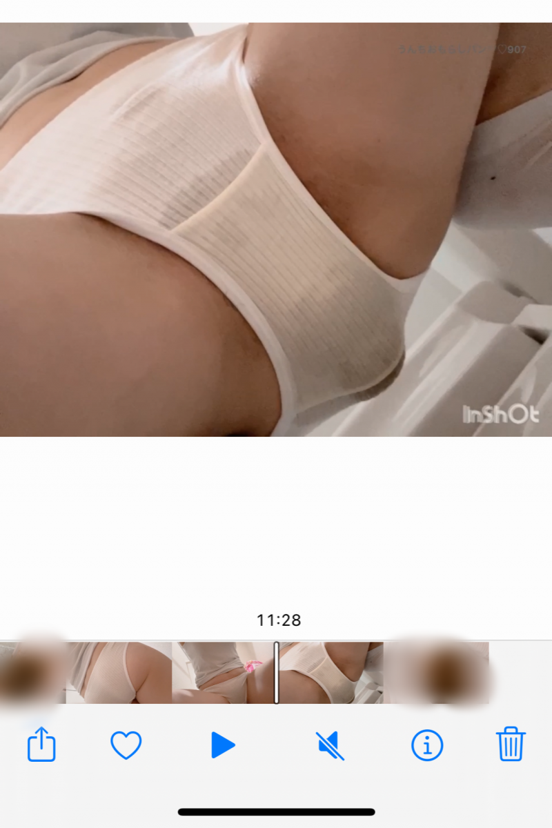 出品者名-写真-1
