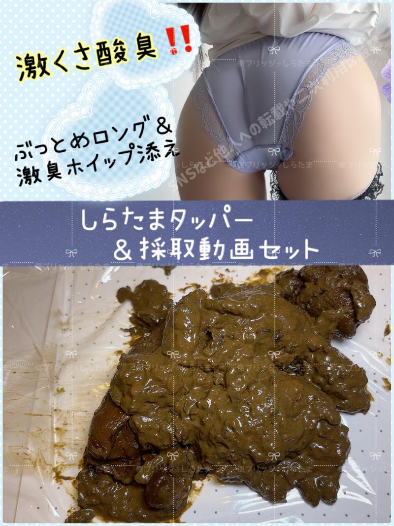 出品者名-写真