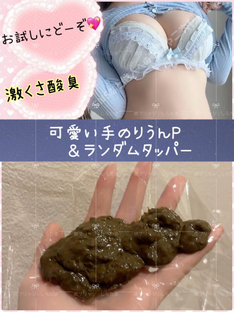 出品者名-写真