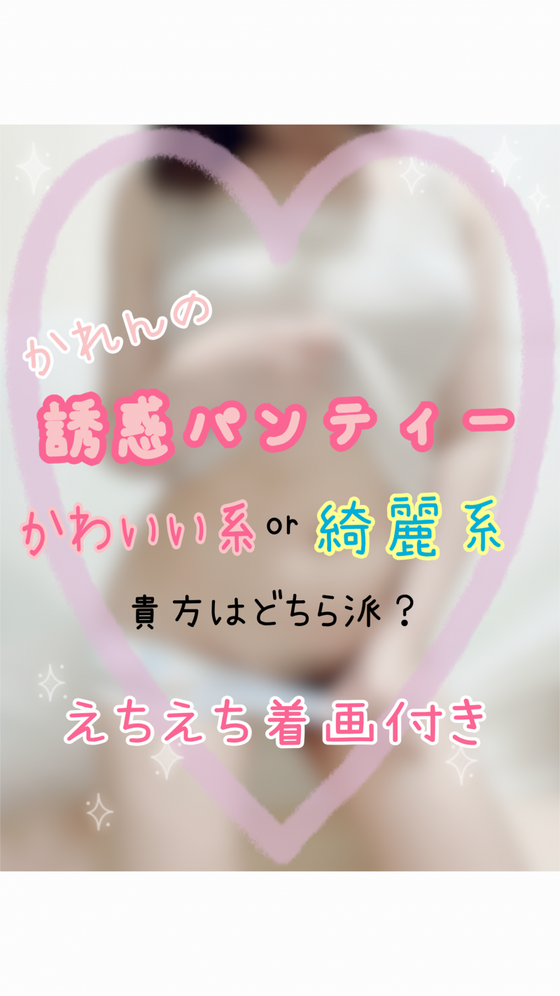 出品者名-写真