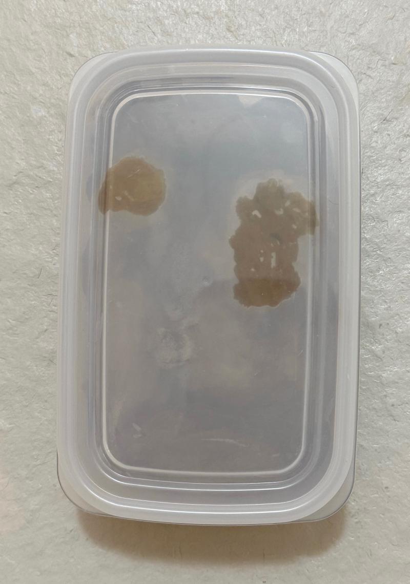 出品者名-写真-1